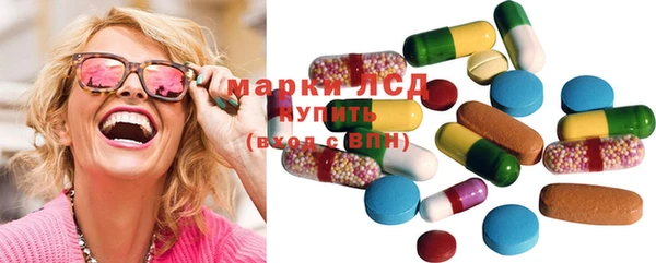 PSILOCYBIN Алзамай