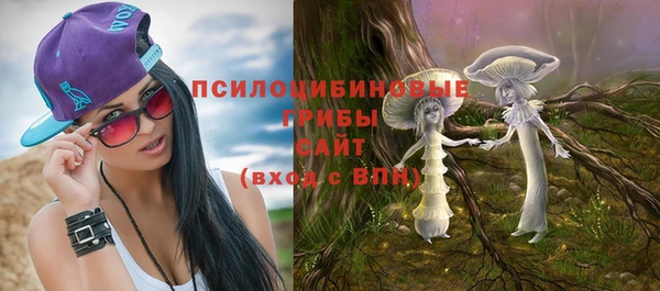 PSILOCYBIN Алзамай