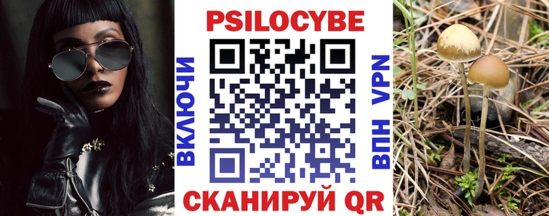 Псилоцибиновые грибы GOLDEN TEACHER  Бабушкин 